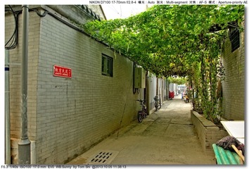 s_DSC_2890
