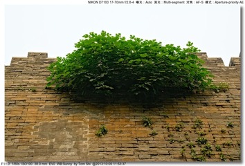 s_DSC_2902