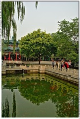 s_DSC_2905