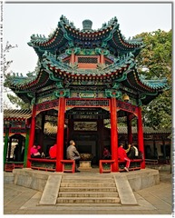 s_DSC_2906