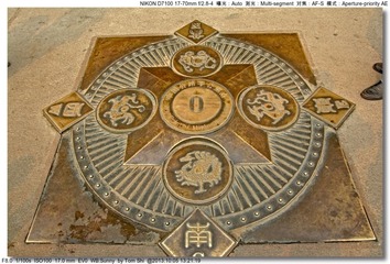 s_DSC_2939
