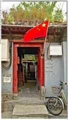 s_DSC_2970