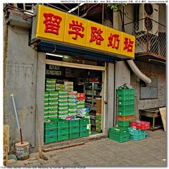 s_DSC_2977