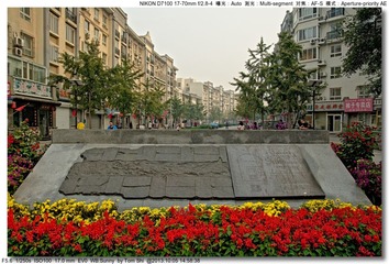 s_DSC_2978