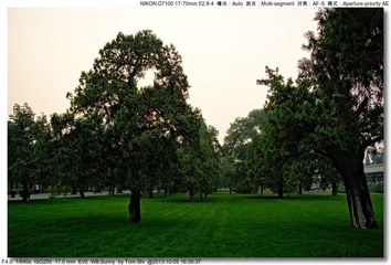 s_DSC_3010