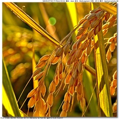 s_DSC_3840