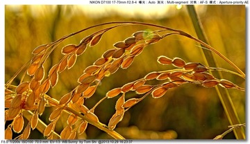 s_DSC_3842