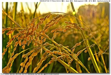 s_DSC_3843
