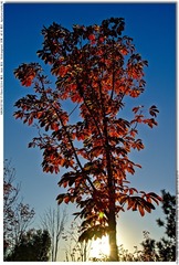 s_DSC_3846