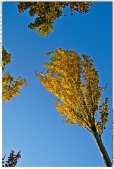 s_DSC_3849