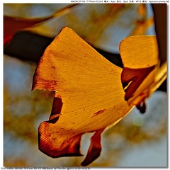 s_DSC_3851