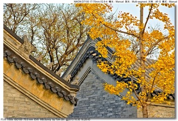 s_DSC_4185