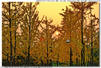 s_DSC_4194