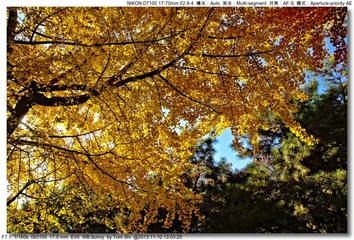 s_DSC_4476