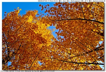 s_DSC_4539
