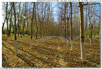 s_DSC_4546