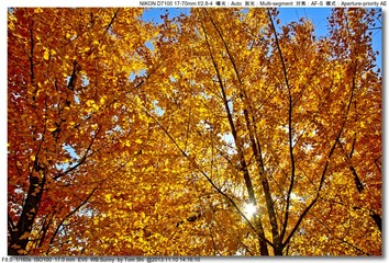 s_DSC_4549
