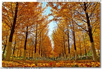 s_DSC_4557