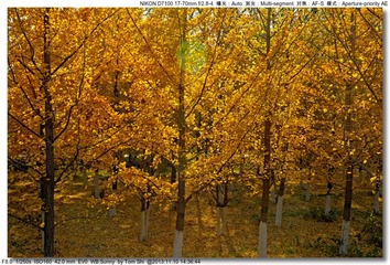s_DSC_4577