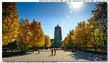 s_DSC_4450