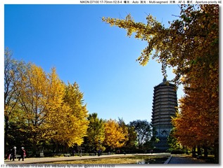 s_DSC_4475