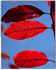 s_DSC_4432