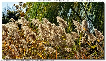 s_DSC_4526