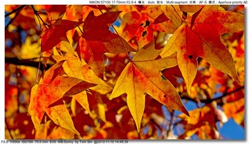 s_DSC_4580