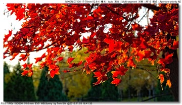 s_DSC_4385