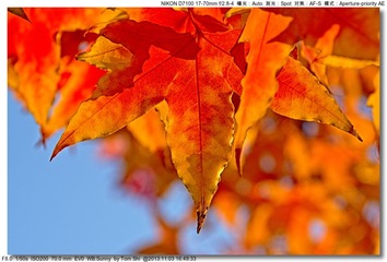 s_DSC_4405