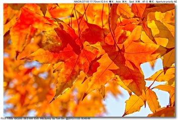 s_DSC_4406