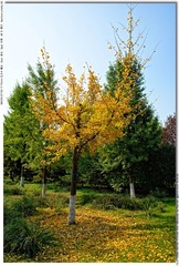s_DSC_3021