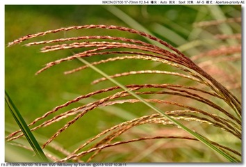 s_DSC_3024