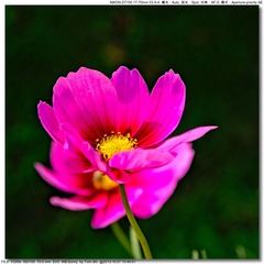 s_DSC_3032