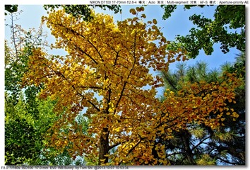 s_DSC_3038