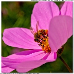 s_DSC_3073