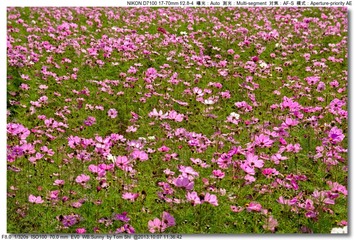 s_DSC_3047