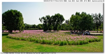 s_DSC_3064
