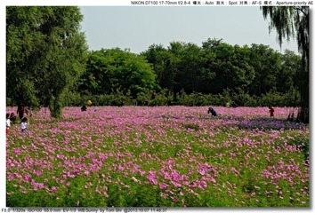 s_DSC_3066