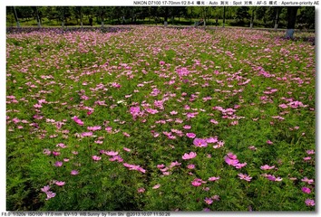 s_DSC_3069
