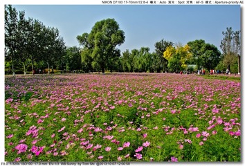 s_DSC_3092