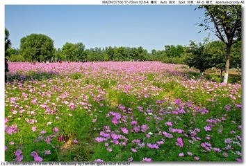 s_DSC_3108
