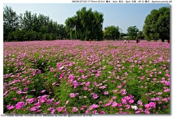 s_DSC_3112