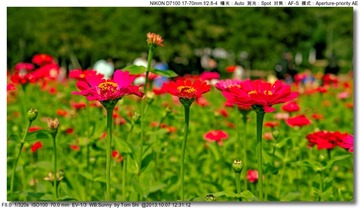 s_DSC_3121
