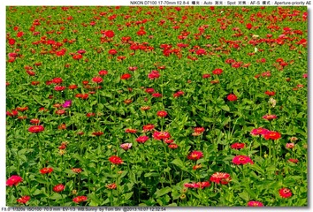 s_DSC_3125