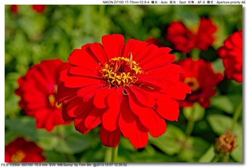 s_DSC_3129