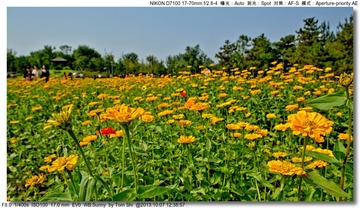 s_DSC_3137