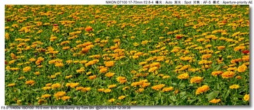 s_DSC_3139