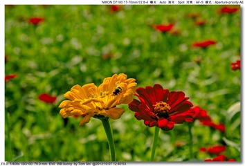 s_DSC_3141