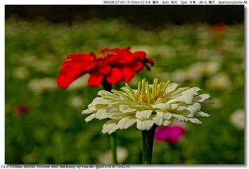 s_DSC_3146